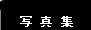 ʐ^W